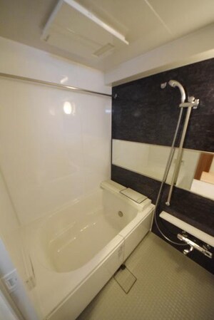 シルヴァー アウルの物件内観写真